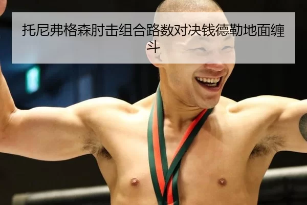 托尼弗格森肘击组合路数对决钱德勒地面缠斗